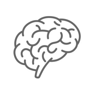 Silhouette of the brain on a white background