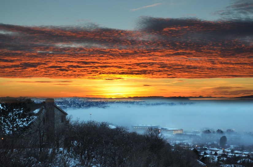 Light of the Son.jpg